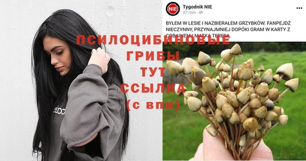 ПСИЛОЦИБИНОВЫЕ ГРИБЫ Армянск
