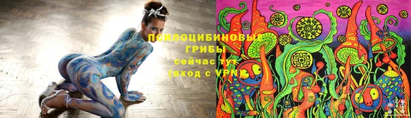 apvp Аркадак