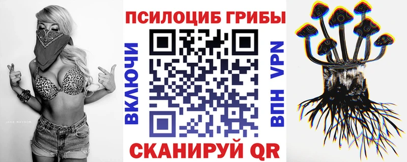 Галлюциногенные грибы Psilocybe  Ивдель 